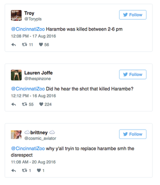Illustration for article titled Harambe memes force the Cincinnati Zoo to flee Twitter